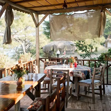 Feriested Yuva Eco Holiday Yoga Retreat *