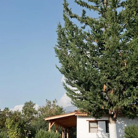 Yuva Eco Holiday Yoga Retreat Feriested