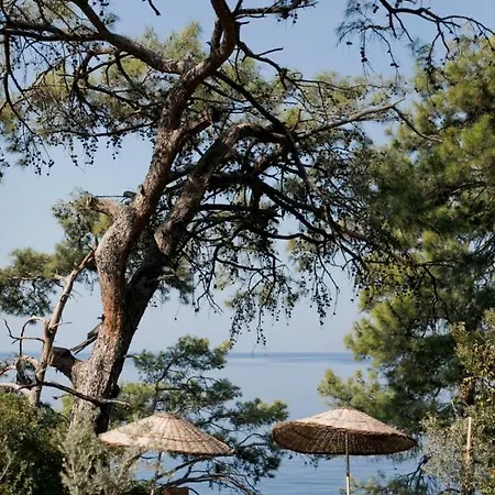 Yuva Eco Holiday Yoga Retreat