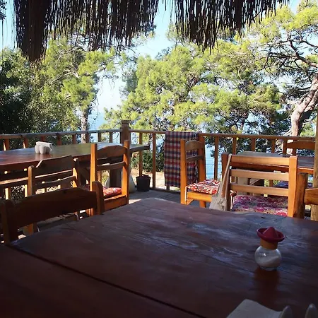 Resort Yuva Eco Holiday Yoga Retreat *